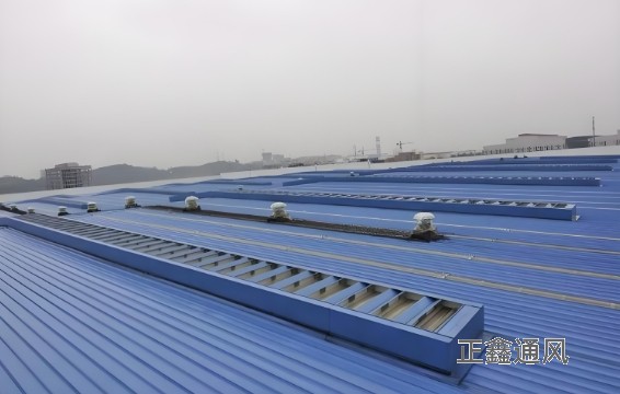 微信截圖_20240701140829.jpg